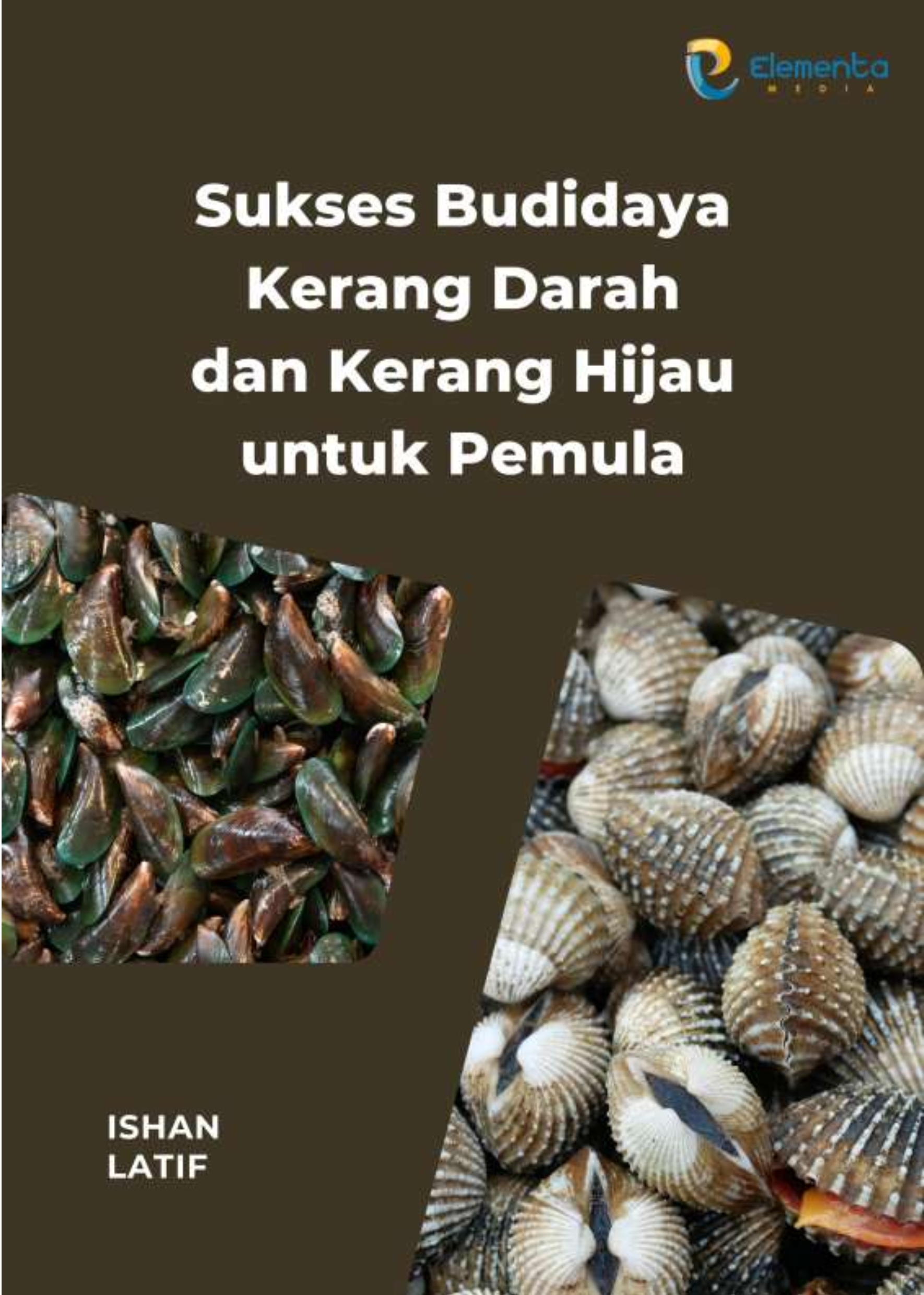 Sukses Budidaya Kerang Darah dan Kerang Hijau untuk Pemula